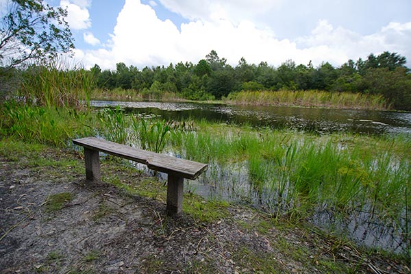 Wood bench near North Walk-in-Water Creek shoreline
