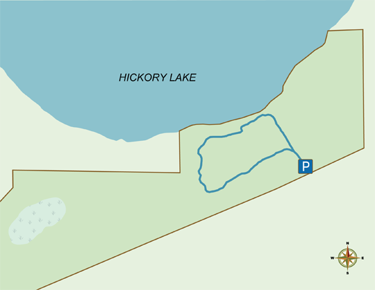 Hickory Lake Scrub trail map