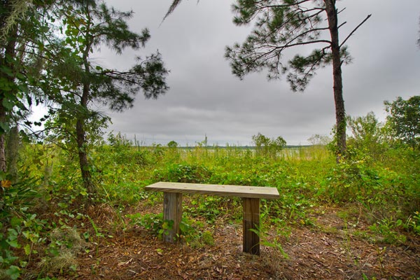Landscape view of Hickory Lake Scrub with wood bench
