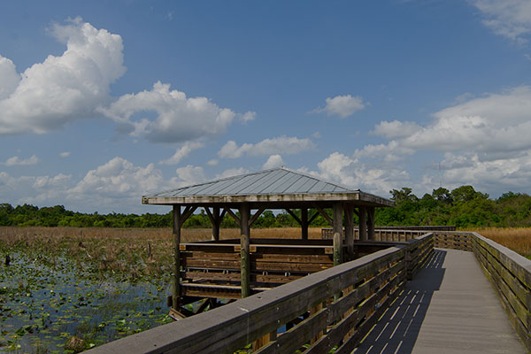 Lakeland Highlands Scrub boardwalk trail with outlook over water